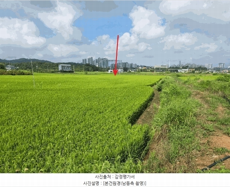2025타경12254 충청남도 천안시 동남구 구룡동 252-3 농지 경매 이미지