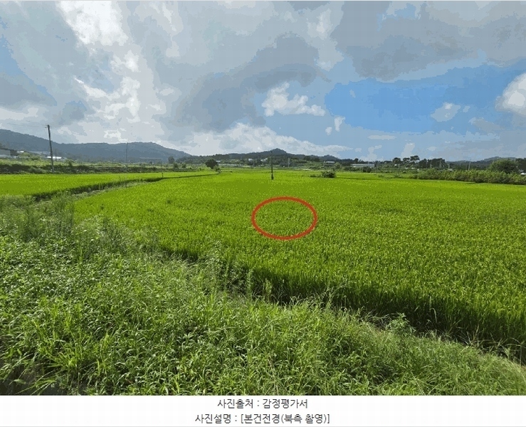 2025타경12254 충청남도 천안시 동남구 구룡동 252-3 농지 경매 이미지