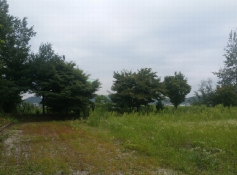 2019타경10346 충청남도 천안시 서북구 입장면 연곡리 166-50 종교시설 경매 이미지