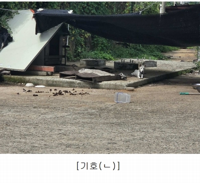 2023타경6511 충청남도 아산시 영인면 역리 342-27 공장 경매 이미지