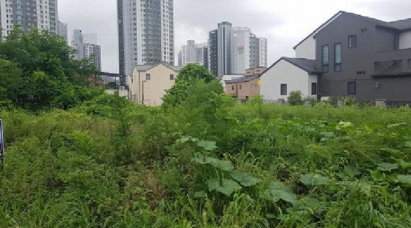 2025타경12260 충청남도 천안시 서북구 불당동 1585 대지 경매 이미지
