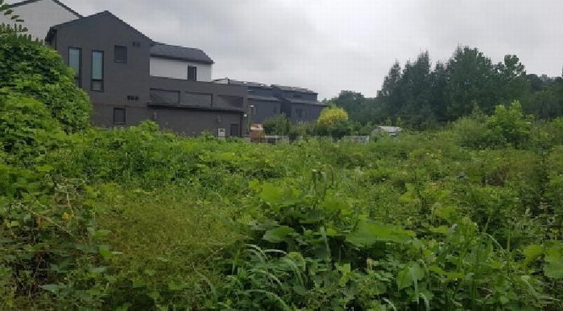 2025타경12260 충청남도 천안시 서북구 불당동 1585 대지 경매 이미지