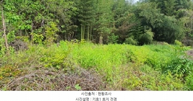 2025타경458 경상남도 김해시 생림면 도요리 197 대지 경매 이미지