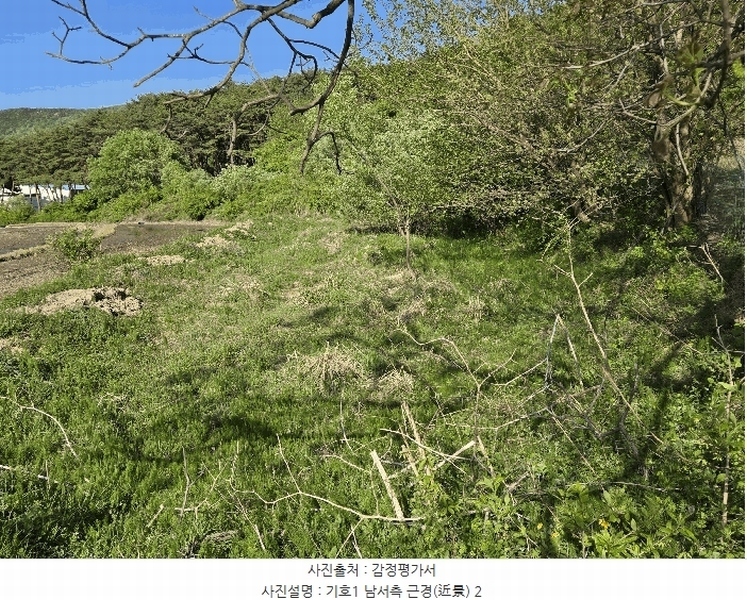 2025타경11528 충청남도 아산시 배방읍 수철리 529 농지 경매 이미지