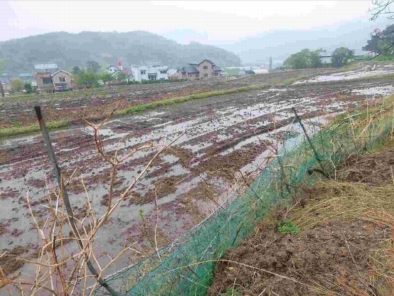 2025타경11528 충청남도 아산시 배방읍 수철리 529 농지 경매 이미지