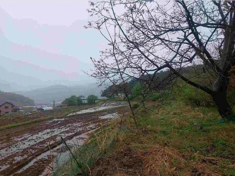 2025타경11528 충청남도 아산시 배방읍 수철리 529 농지 경매 이미지