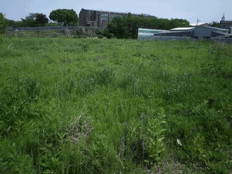 2025타경11600 충청남도 천안시 서북구 신당동 441-1 농지 경매 이미지
