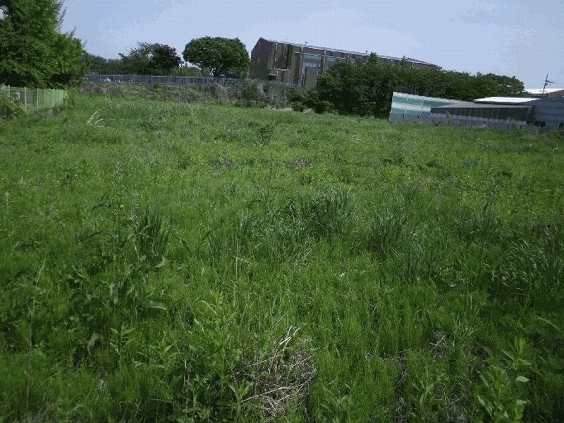 2025타경11600 충청남도 천안시 서북구 신당동 441-1 농지 경매 이미지
