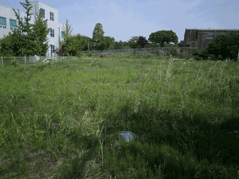 2025타경11600 충청남도 천안시 서북구 신당동 441-1 농지 경매 이미지