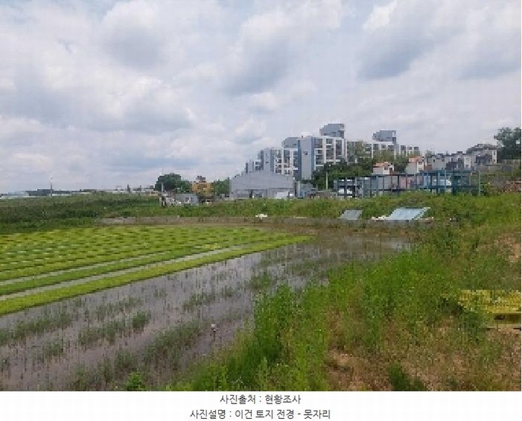2025타경11678 충청남도 천안시 성거읍 문덕리 231-2 농지 경매 이미지