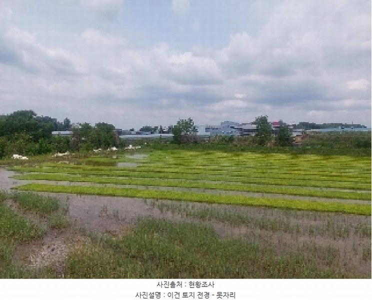 2025타경11678 충청남도 천안시 성거읍 문덕리 231-2 농지 경매 이미지
