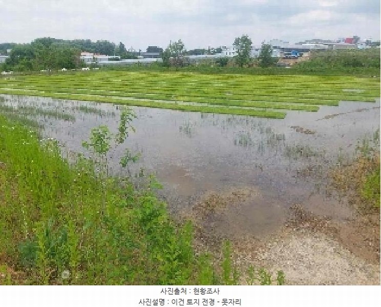 2025타경11678 충청남도 천안시 성거읍 문덕리 231-2 농지 경매 이미지