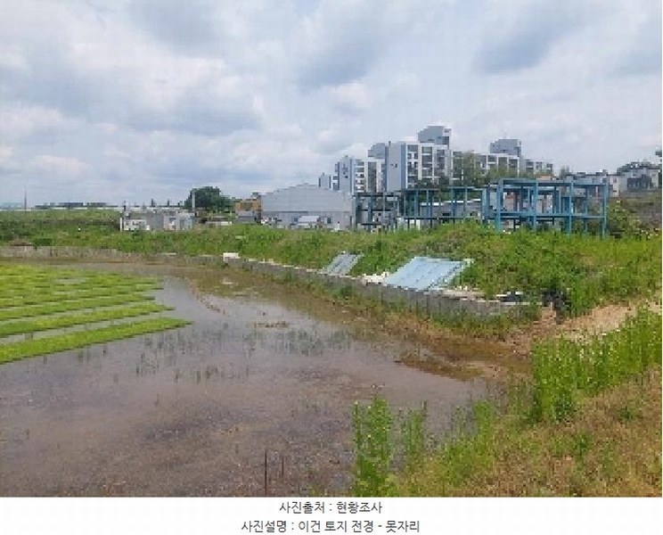 2025타경11678 충청남도 천안시 성거읍 문덕리 231-2 농지 경매 이미지