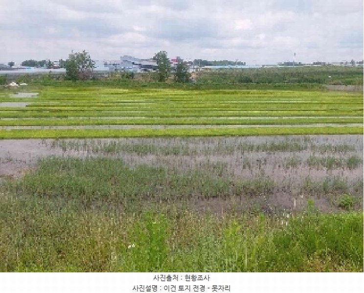 2025타경11678 충청남도 천안시 성거읍 문덕리 231-2 농지 경매 이미지