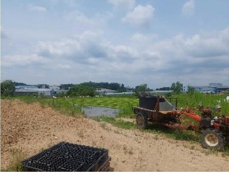 2025타경11678 충청남도 천안시 성거읍 문덕리 231-2 농지 경매 이미지
