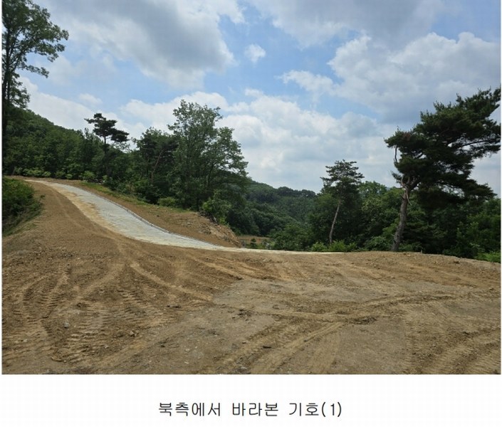 2025타경11725 충청남도 천안시 동남구 목천읍 석천리 산49 임야 경매 이미지