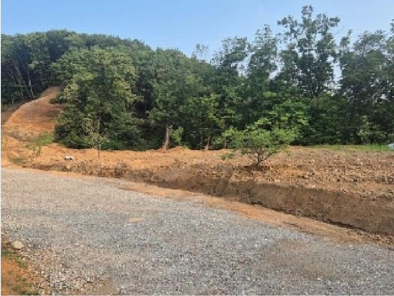 2025타경11725 충청남도 천안시 동남구 목천읍 석천리 산49 임야 경매 이미지