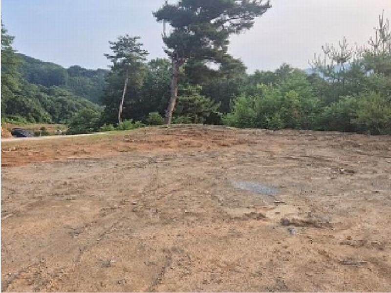 2025타경11725 충청남도 천안시 동남구 목천읍 석천리 산49 임야 경매 이미지