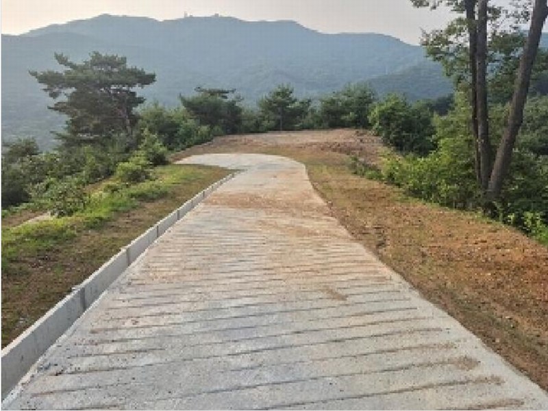 2025타경11725 충청남도 천안시 동남구 목천읍 석천리 산49 임야 경매 이미지