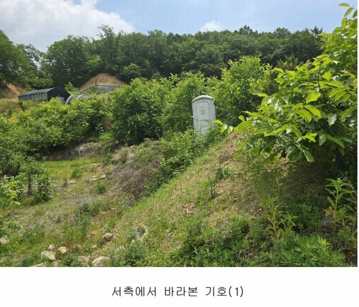 2025타경11725 충청남도 천안시 동남구 목천읍 석천리 산49 임야 경매 이미지