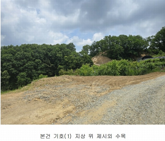 2025타경11725 충청남도 천안시 동남구 목천읍 석천리 산49 임야 경매 이미지