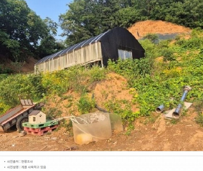 2025타경11725 충청남도 천안시 동남구 목천읍 석천리 산49 임야 경매 이미지