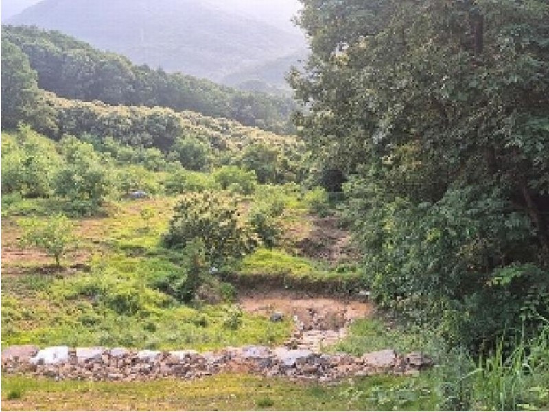 2025타경11725 충청남도 천안시 동남구 목천읍 석천리 산49 임야 경매 이미지