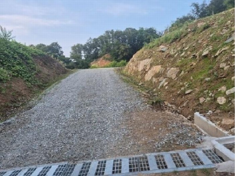 2025타경11725 충청남도 천안시 동남구 목천읍 석천리 산49 임야 경매 이미지
