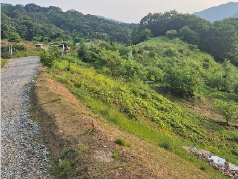2025타경11725 충청남도 천안시 동남구 목천읍 석천리 산49 임야 경매 이미지