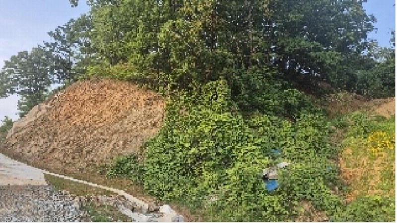 2025타경11725 충청남도 천안시 동남구 목천읍 석천리 산49 임야 경매 이미지