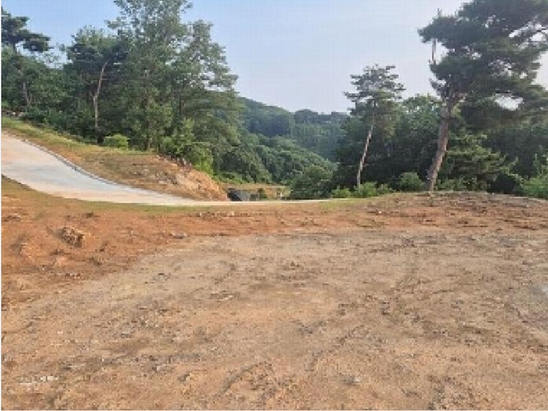2025타경11725 충청남도 천안시 동남구 목천읍 석천리 산49 임야 경매 이미지