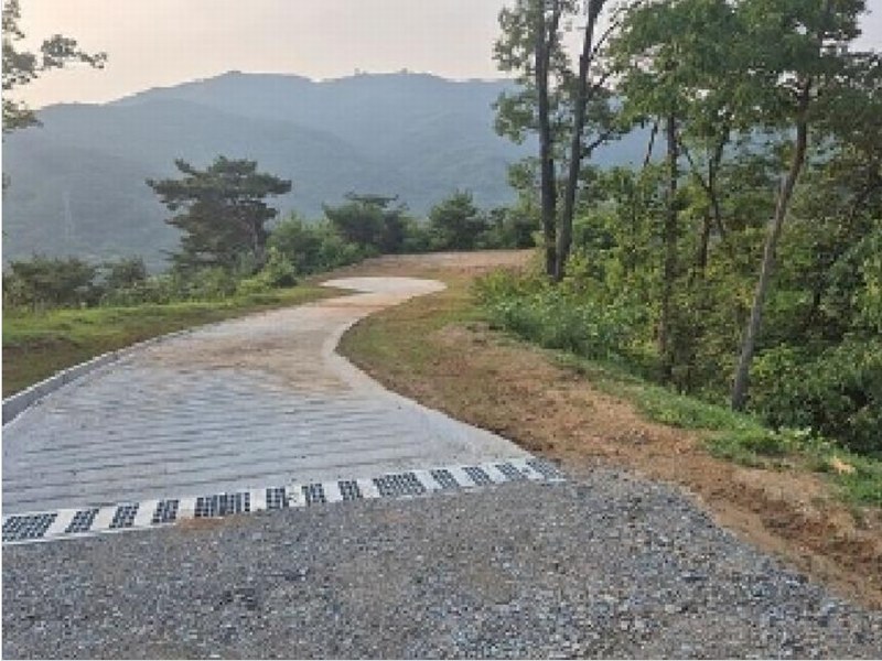 2025타경11725 충청남도 천안시 동남구 목천읍 석천리 산49 임야 경매 이미지