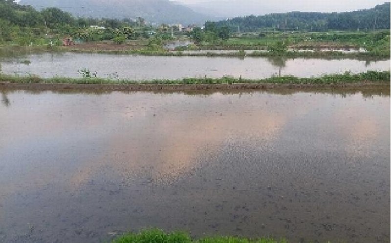2025타경11769 충청남도 아산시 법곡동 151 농지 경매 이미지
