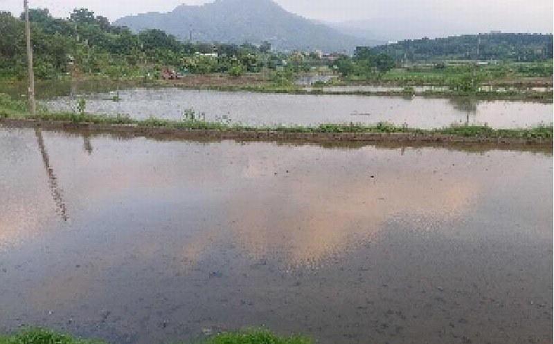 2025타경11769 충청남도 아산시 법곡동 151 농지 경매 이미지