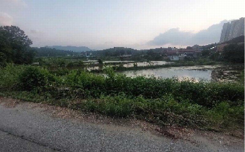 2025타경11769 충청남도 아산시 법곡동 151 농지 경매 이미지