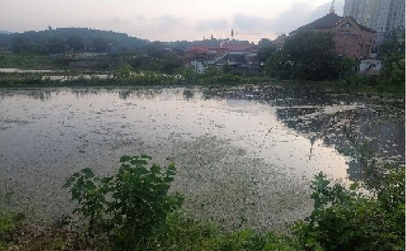 2025타경11769 충청남도 아산시 법곡동 151 농지 경매 이미지