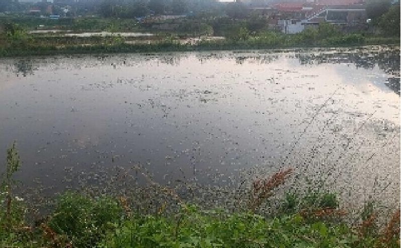 2025타경11769 충청남도 아산시 법곡동 151 농지 경매 이미지