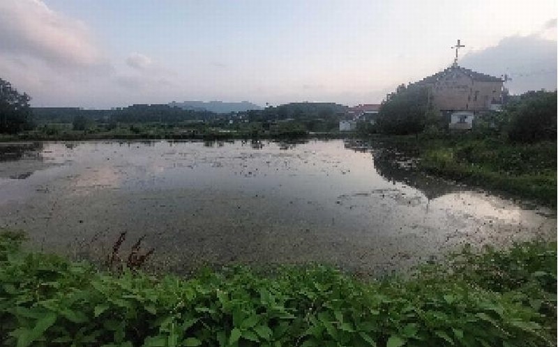 2025타경11769 충청남도 아산시 법곡동 151 농지 경매 이미지