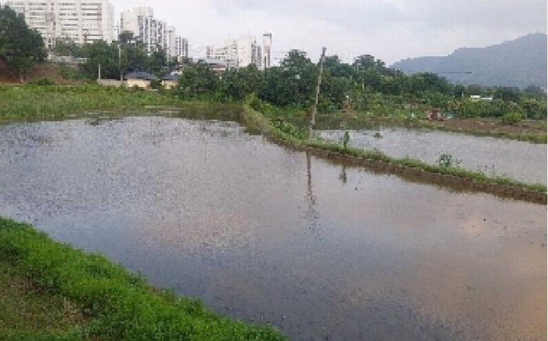 2025타경11769 충청남도 아산시 법곡동 151 농지 경매 이미지