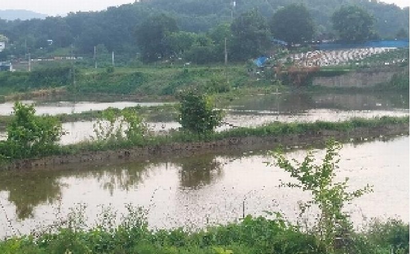 2025타경11769 충청남도 아산시 법곡동 151 농지 경매 이미지