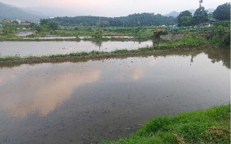 2025타경11769 충청남도 아산시 법곡동 151 농지 경매 이미지