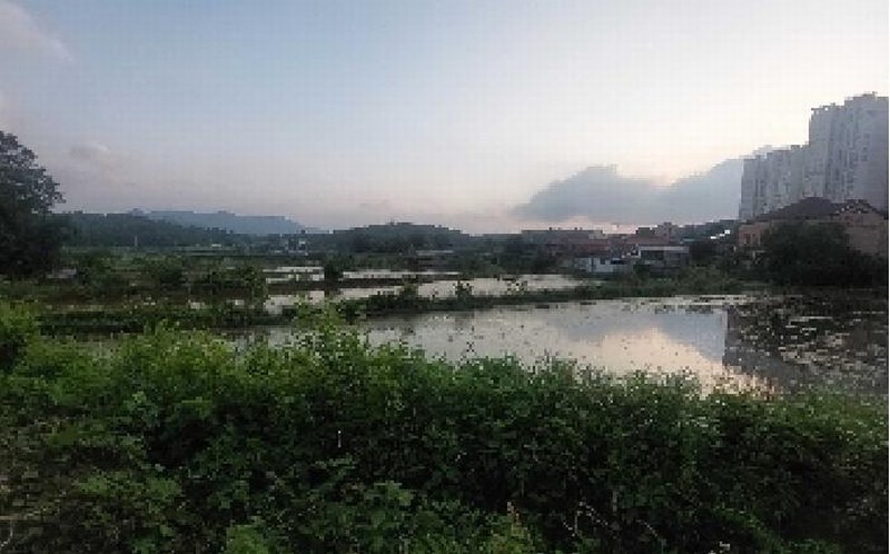 2025타경11769 충청남도 아산시 법곡동 151 농지 경매 이미지
