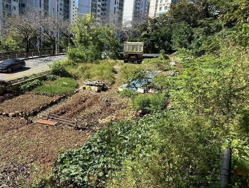2024타경5317 부산광역시 부산진구 당감동 786-61 묘지 경매 이미지