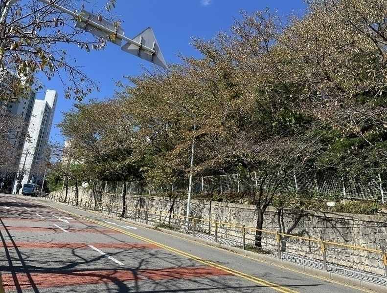 2024타경5317 부산광역시 부산진구 당감동 786-61 묘지 경매 이미지