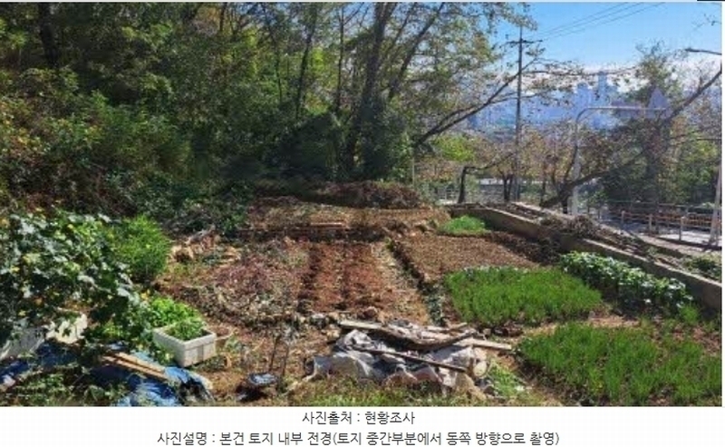 2024타경5317 부산광역시 부산진구 당감동 786-61 묘지 경매 이미지