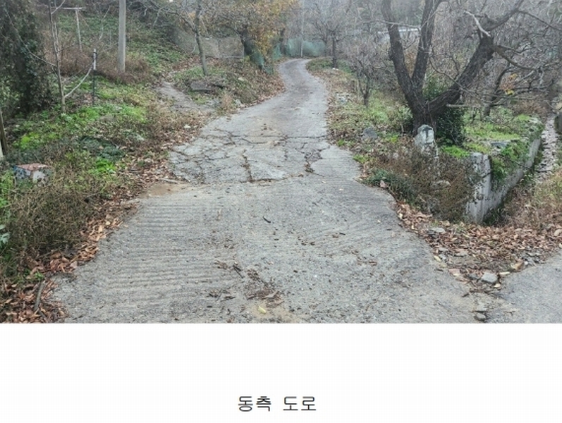 2024타경115207 충청남도 아산시 배방읍 수철리 산126-5 임야 경매 이미지
