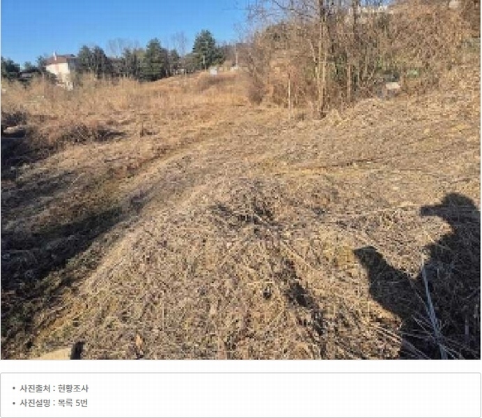 2025타경10217 충청남도 천안시 동남구 유량동 80-10 농지 경매 이미지