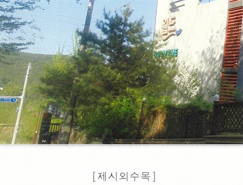 2025타경11472 울산광역시 울주군 상북면 등억알프스리 537-1 숙박시설 경매 이미지