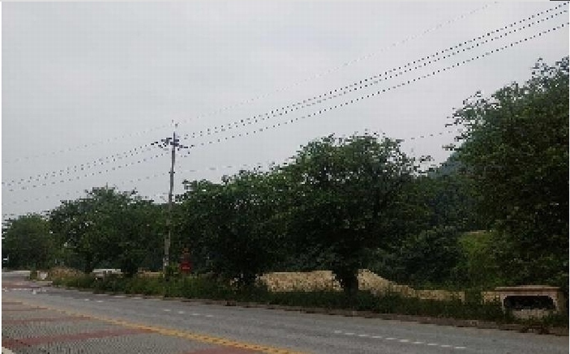 2025타경11685 충청남도 아산시 배방읍 수철리 75 임야 경매 이미지