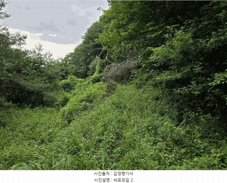 2025타경11948 충청남도 천안시 동남구 동면 죽계리 산60-4 임야 경매 이미지